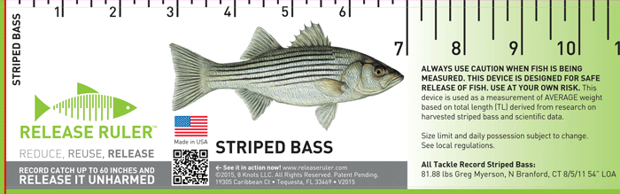 Striped Bass – Release Ruler
