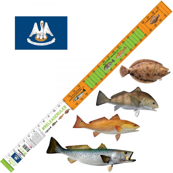 Louisiana Fishing ruler for trout, redfish, flounder and drum