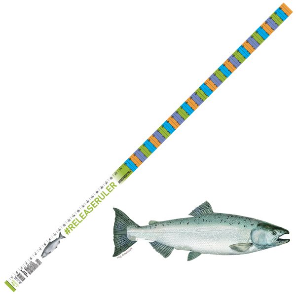 Saltwater Inshore Rulers – Release Ruler